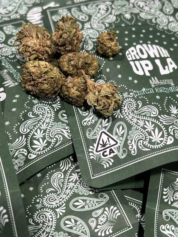 Growin' Up LA